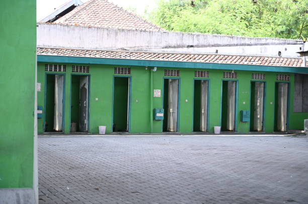 Best Affordable portable toilet rental  in Lely, FL